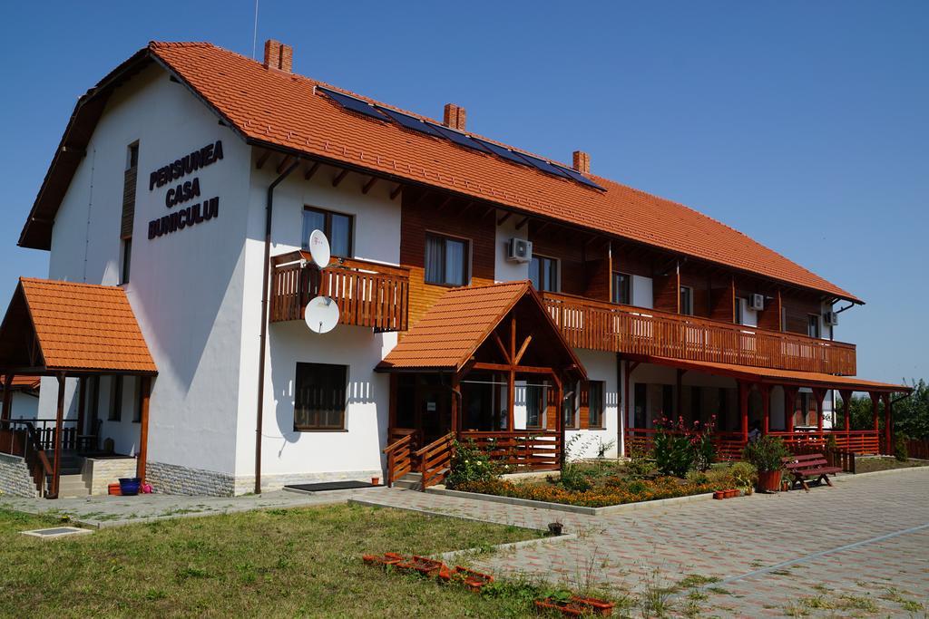Pensiunea Casa Bunicului Mociu Bagian luar foto