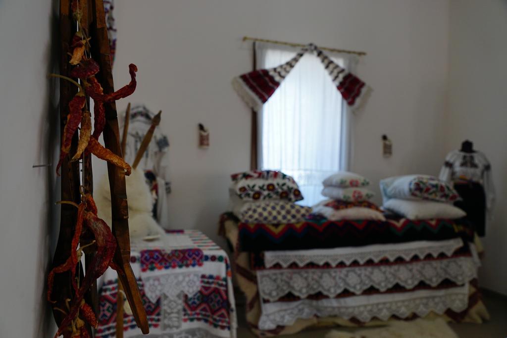 Pensiunea Casa Bunicului Mociu Bagian luar foto
